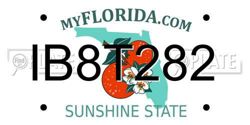 IB8T282 Florida License Plate