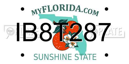 IB8T287 Florida License Plate