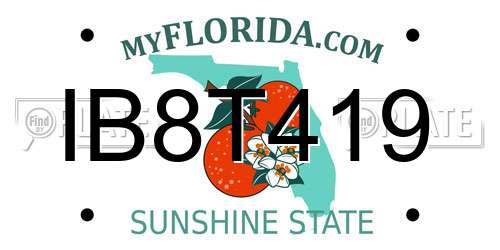 IB8T419 Florida License Plate