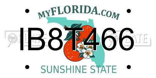 IB8T466 Florida License Plate