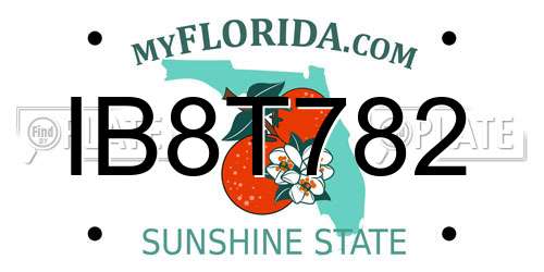 IB8T782 Florida License Plate