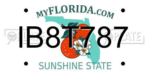 IB8T787 Florida License Plate