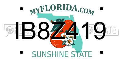 IB8Z419 Florida License Plate