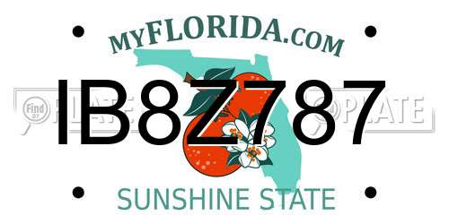 IB8Z787 Florida License Plate