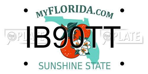 IB90TT Florida License Plate
