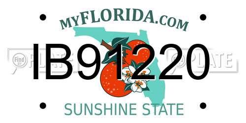IB91220 Florida License Plate