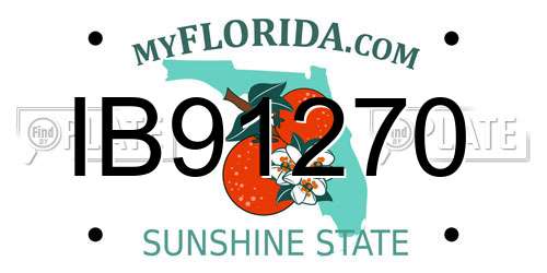 IB91270 Florida License Plate