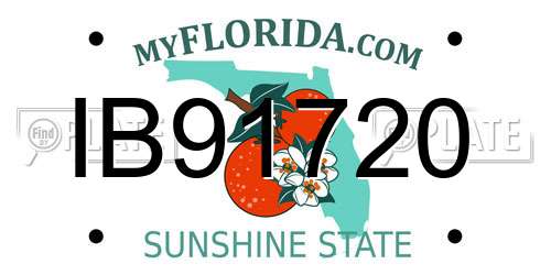 IB91720 Florida License Plate
