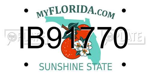 IB91770 Florida License Plate