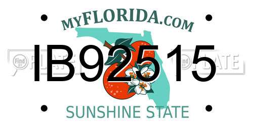 IB92515 Florida License Plate