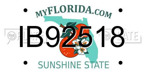 IB92518 Florida License Plate