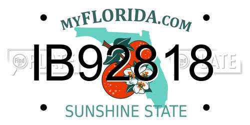 IB92818 Florida License Plate