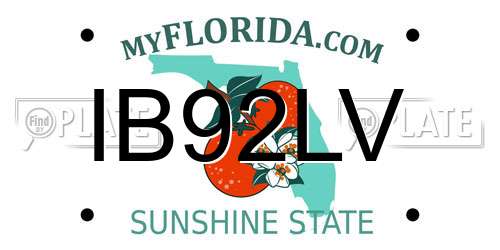 IB92LV Florida License Plate