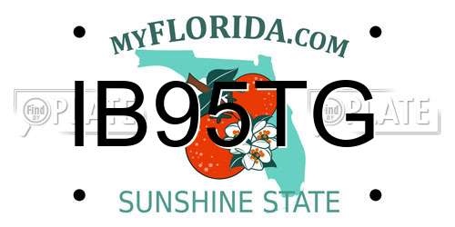 IB95TG Florida License Plate