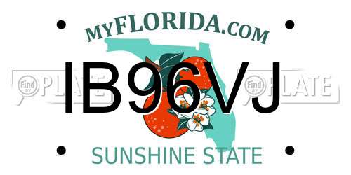 IB96VJ Florida License Plate