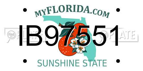 IB97551 Florida License Plate