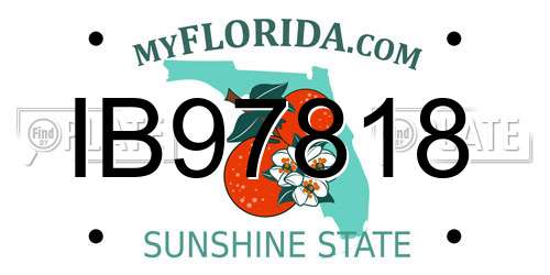 IB97818 Florida License Plate