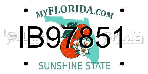 IB97851 Florida License Plate
