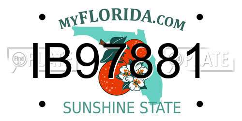 IB97881 Florida License Plate