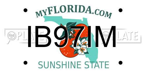 IB97IM Florida License Plate
