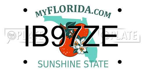 IB97ZE Florida License Plate