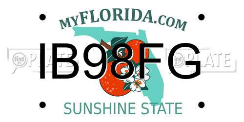 IB98FG Florida License Plate
