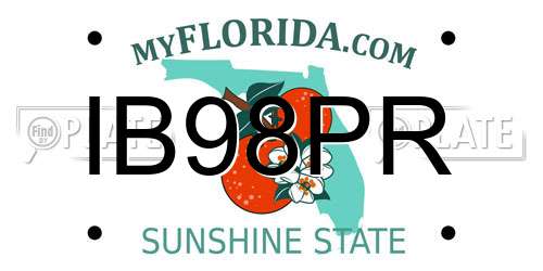 IB98PR Florida License Plate