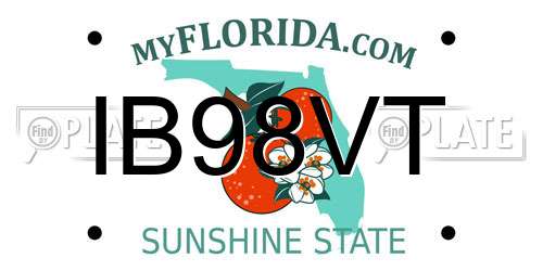 IB98VT Florida License Plate