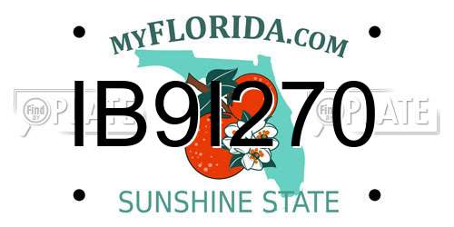 IB9I270 Florida License Plate