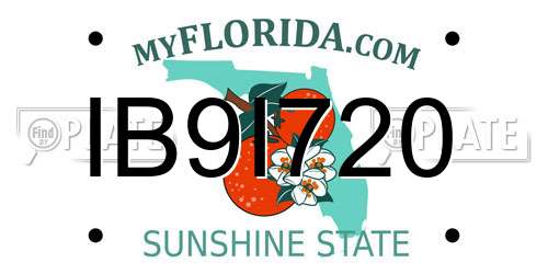 IB9I720 Florida License Plate