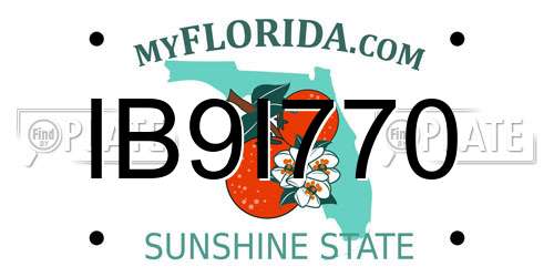 IB9I770 Florida License Plate