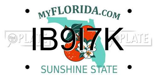 IB9I7K Florida License Plate