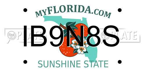 IB9N8S Florida License Plate