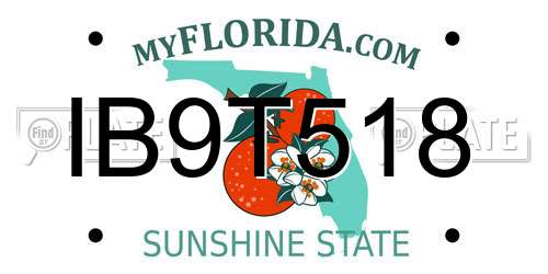 IB9T518 Florida License Plate