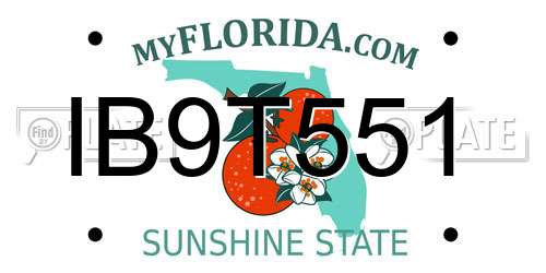 IB9T551 Florida License Plate