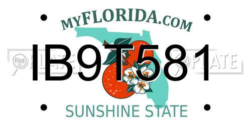 IB9T581 Florida License Plate