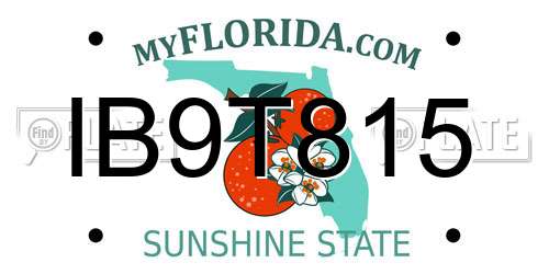IB9T815 Florida License Plate