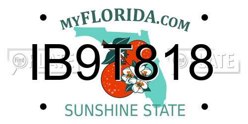IB9T818 Florida License Plate