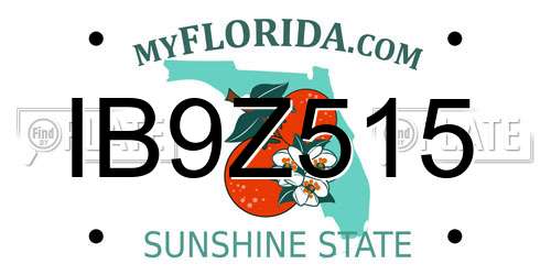 IB9Z515 Florida License Plate