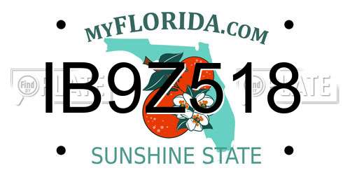 IB9Z518 Florida License Plate