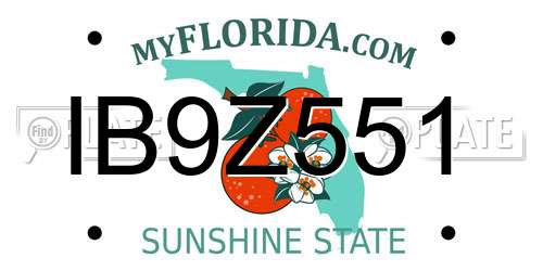 IB9Z551 Florida License Plate
