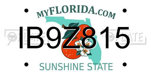 IB9Z815 Florida License Plate