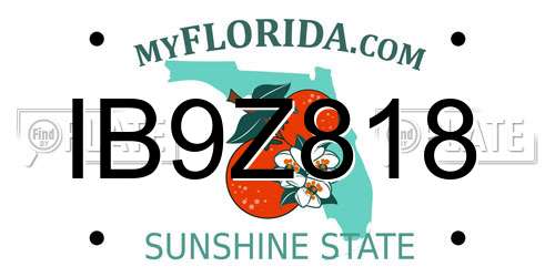 IB9Z818 Florida License Plate
