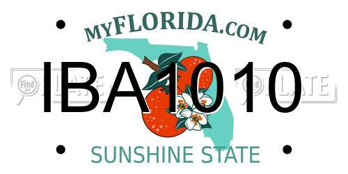 IBA1010 Florida License Plate