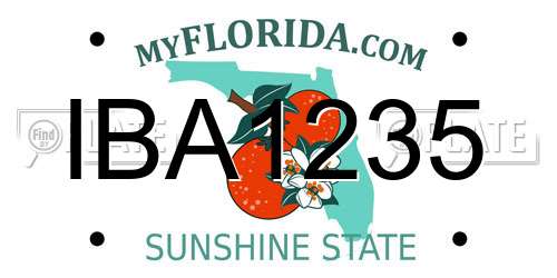 IBA1235 Florida License Plate