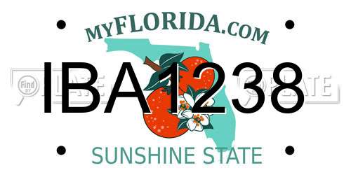 IBA1238 Florida License Plate