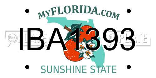 IBA1393 Florida License Plate