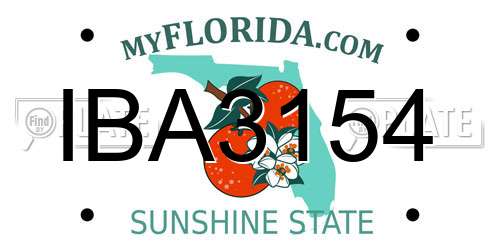 IBA3154 Florida License Plate