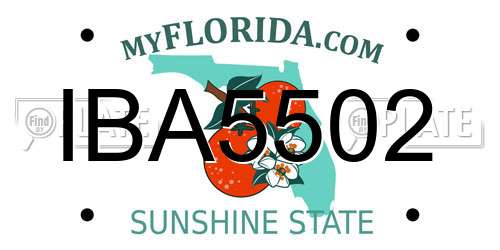IBA5502 Florida License Plate