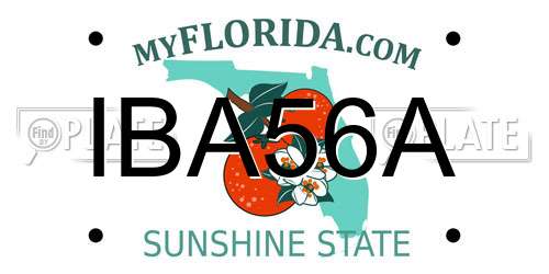 IBA56A Florida License Plate